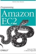 Programming Amazon EC2 af Jurg Van.Vliet
