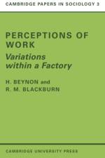 Perceptions of Work