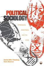Political Sociology af Davita Silfen Glasberg