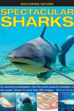 Exploring Nature: Spectacular Sharks af Bright Michael