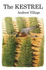 The Kestrel af Andrew Village