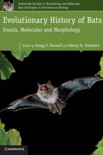 Evolutionary History of Bats