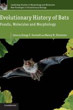 Evolutionary History of Bats