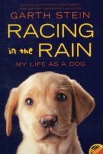 Racing in the Rain af Garth Stein