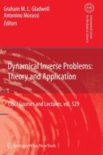 Dynamical Inverse Problems: Theory and Application