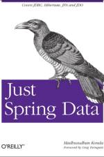Just Spring Data af Madhusudhan Konda