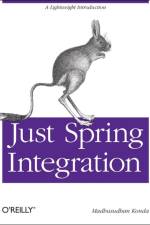 Just Spring Integration af Madhusudhan Konda