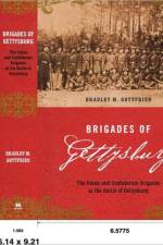 Brigades Of Gettysburg af Bradley Gottfried