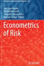 Econometrics of Risk