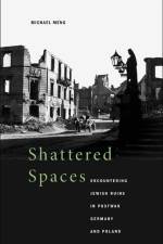 Shattered Spaces af Michael Meng