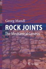 Rock Joints af Georg Mandl