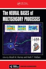 The Neural Bases of Multisensory Processes