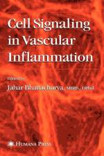 Cell Signaling in Vascular Inflammation