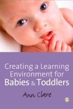 Creating a Learning Environment for Babies and Toddlers af Ann Clare