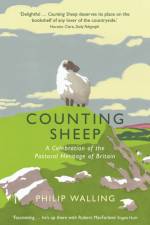 Counting Sheep af Philip Walling