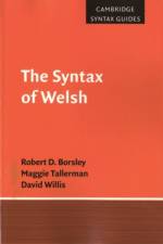 The Syntax of Welsh af Robert D. (University of Essex) Borsley