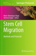 Stem Cell Migration