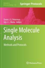 Single Molecule Analysis