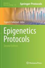 Epigenetics Protocols