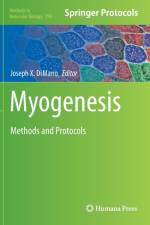 Myogenesis