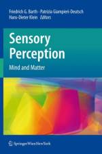 Sensory Perception
