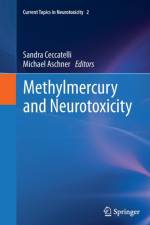 Methylmercury and Neurotoxicity