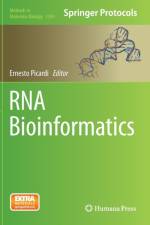 RNA Bioinformatics