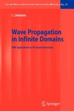 Wave Propagation in Infinite Domains af Lutz Lehmann