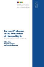 Current Problems in the Protection of Human Rights