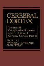 Cerebral Cortex