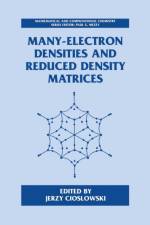 Many-Electron Densities and Reduced Density Matrices