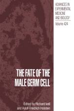 Fate of the Male Germ Cell
