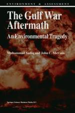 Gulf War Aftermath af M. Sadiq