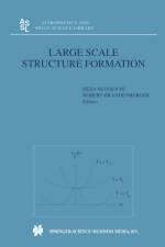 Large Scale Structure Formation