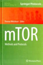 mTOR