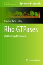 Rho GTPases