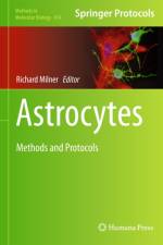 Astrocytes