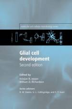 Glial Cell Development