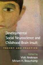 Developmental Social Neuroscience and Childhood Brain Insult