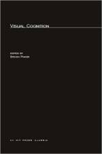 Visual Cognition
