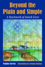 Beyond the Plain and Simple af Pauline Stevick