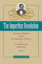 The Imperfect Revolution af Gordon S. Barker