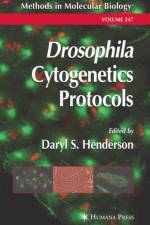 Drosophila Cytogenetics Protocols