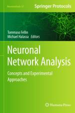 Neuronal Network Analysis