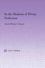In the Shadows of Divine Perfection af Lance Callahan
