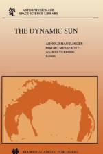Dynamic Sun