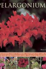 Pelargoniums af Blaise Cooke