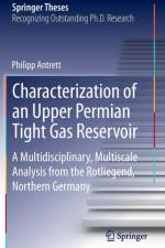 Characterization of an Upper Permian Tight Gas Reservoir