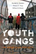 Youth Gangs in American Society af Randall (University of Nevada Shelden