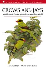 Crows and Jays af Steve Madge